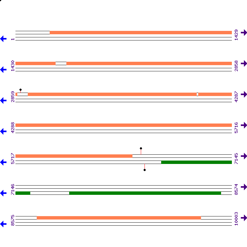 Genome View