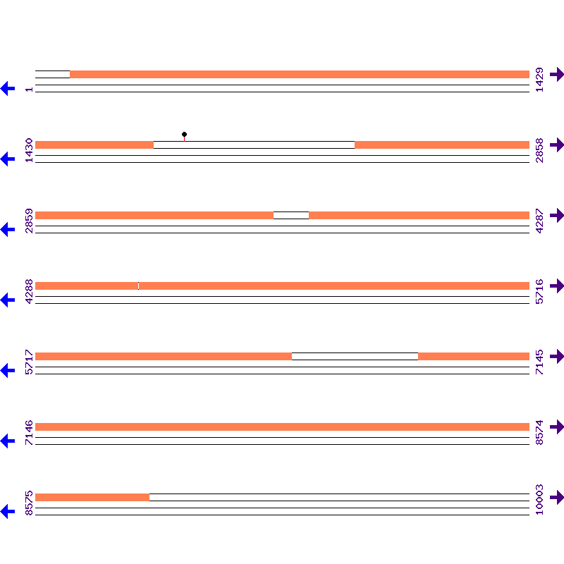 Genome View