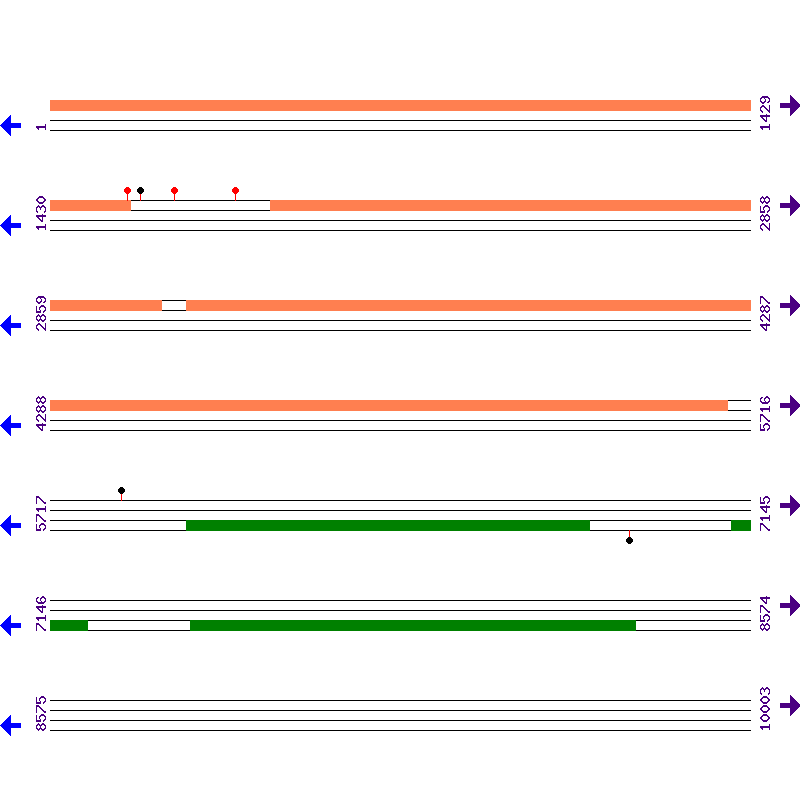 Genome View