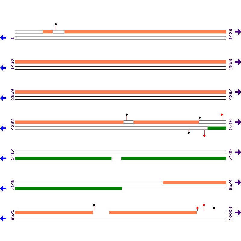 Genome View