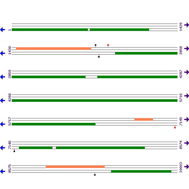 Genome View