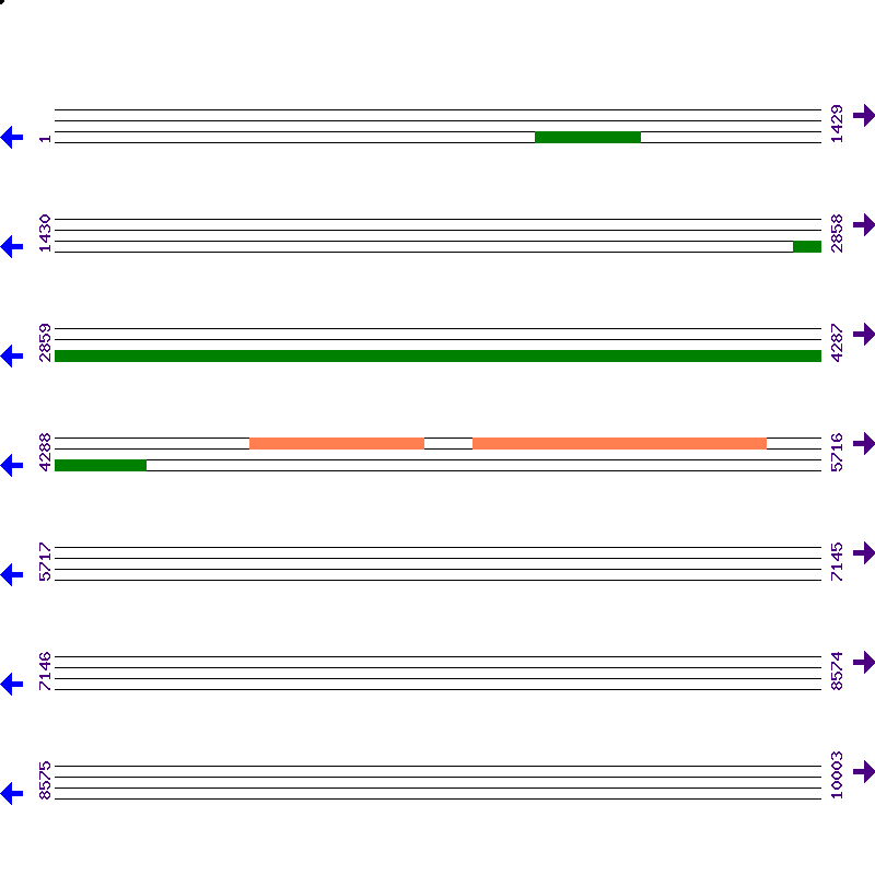 Genome View