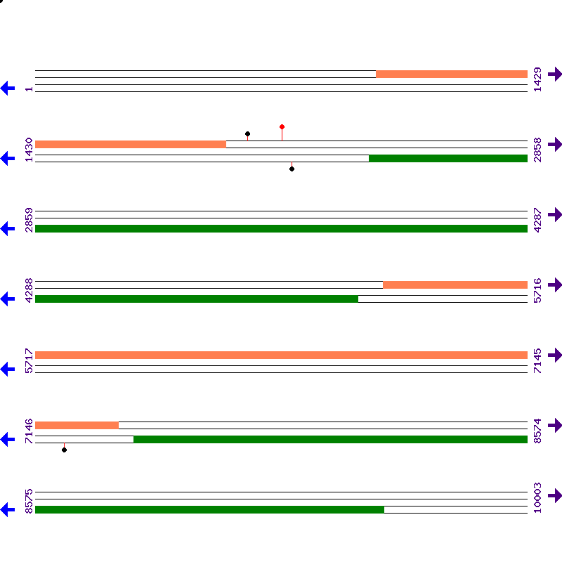 Genome View