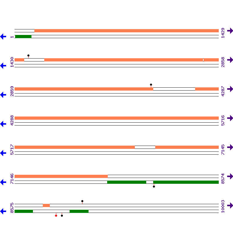 Genome View