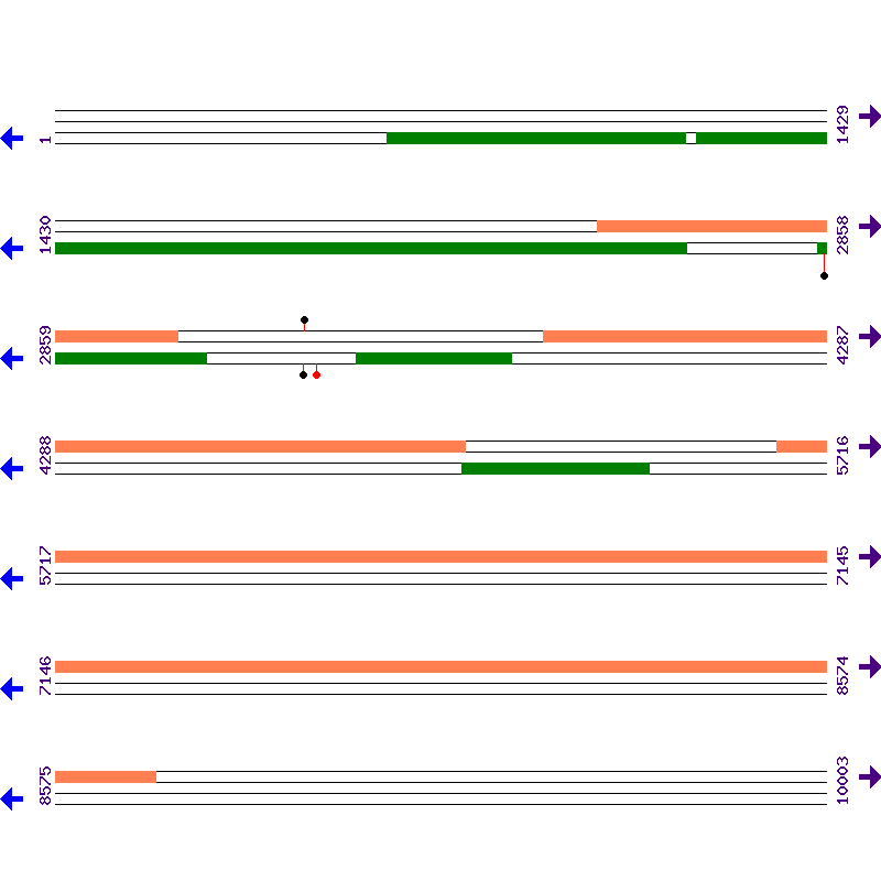 Genome View