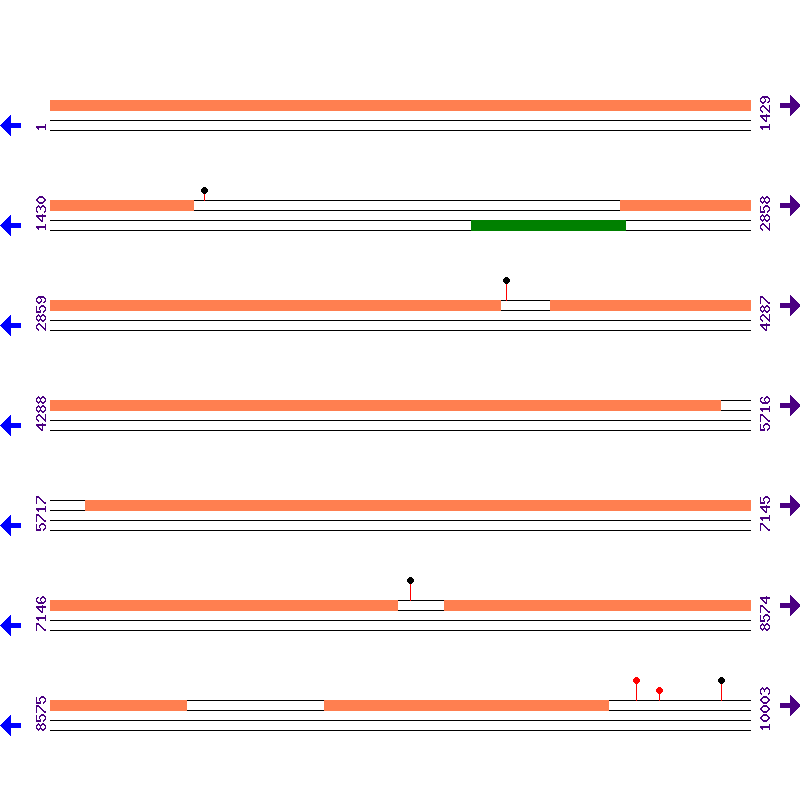 Genome View