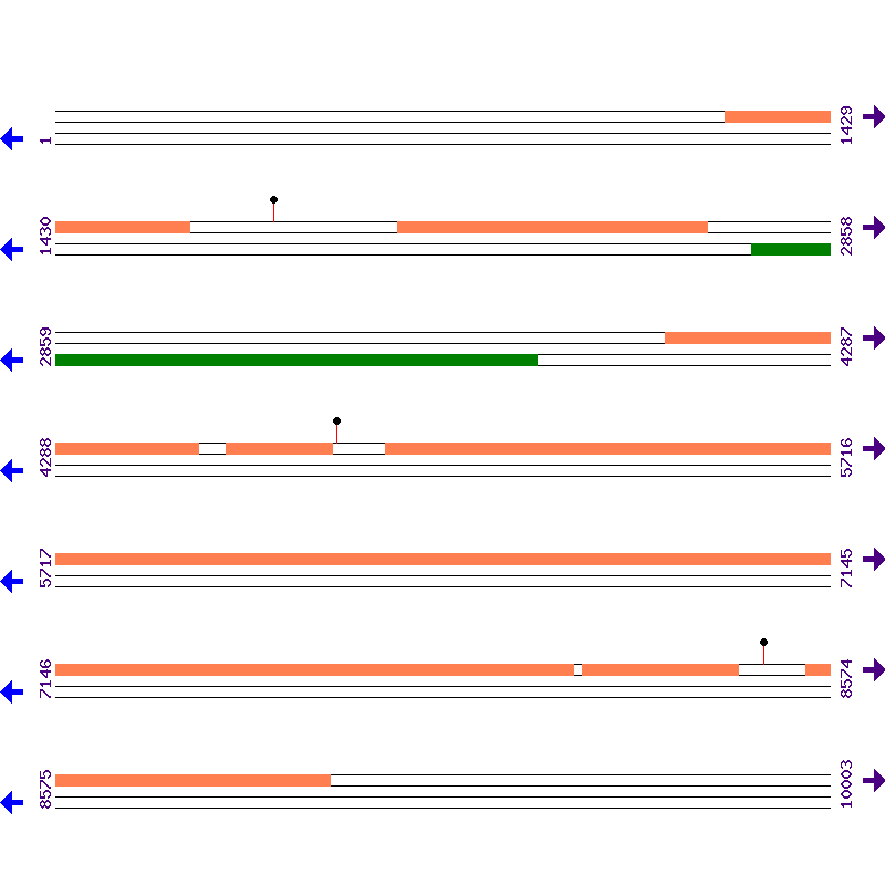 Genome View
