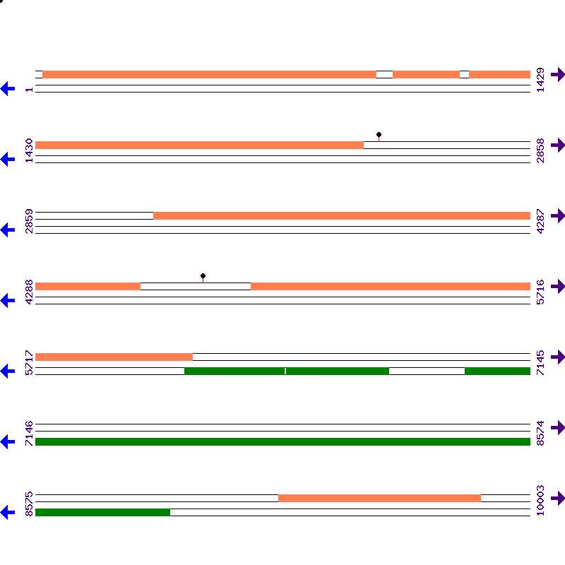 Genome View
