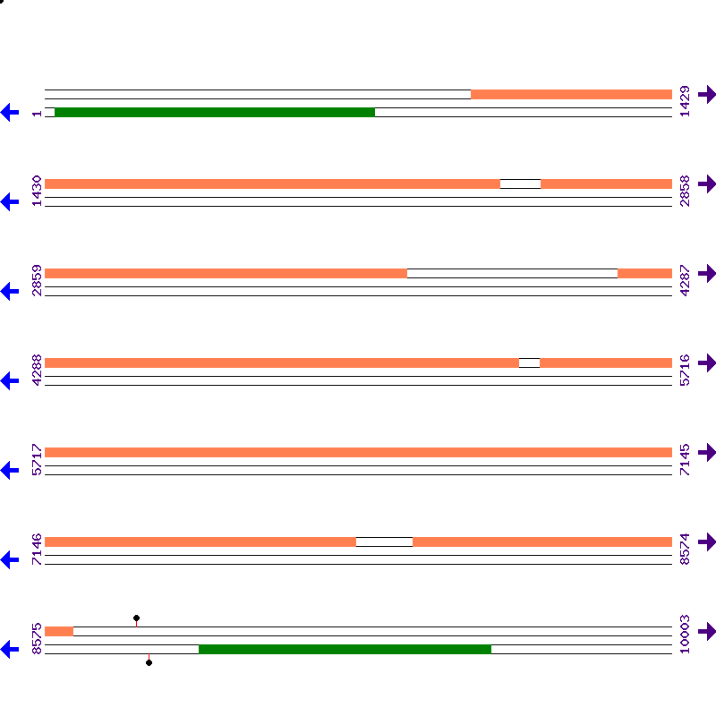 Genome View
