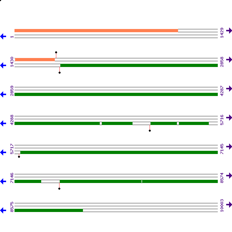 Genome View