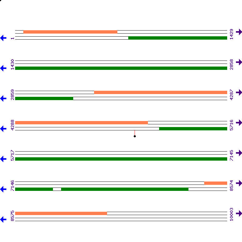 Genome View