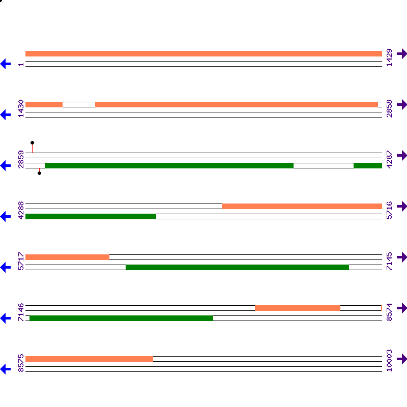 Genome View