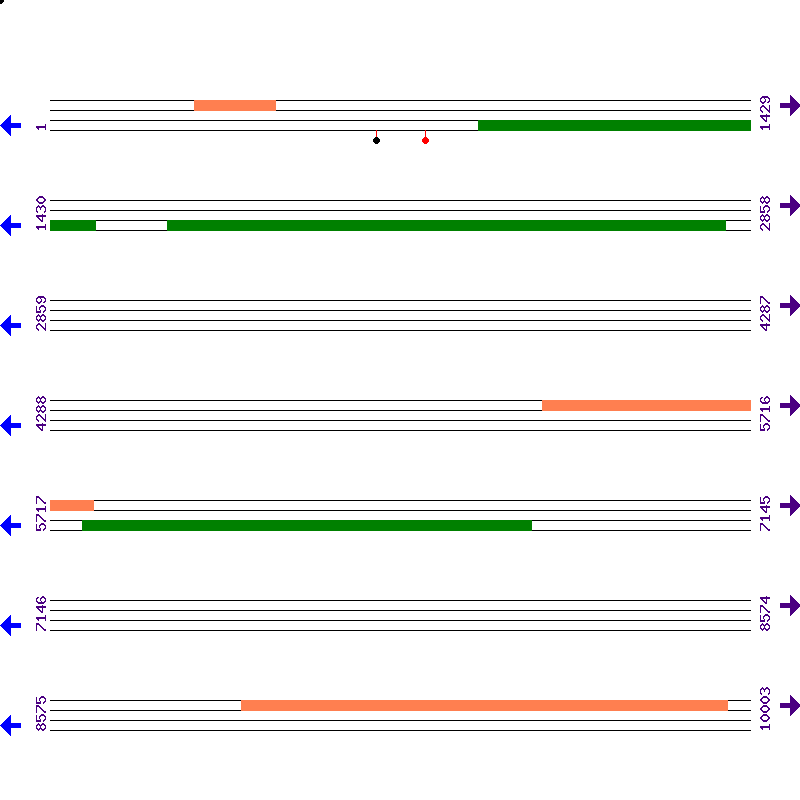 Genome View