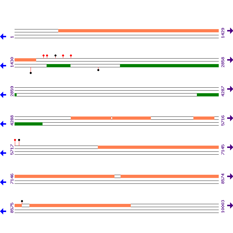 Genome View