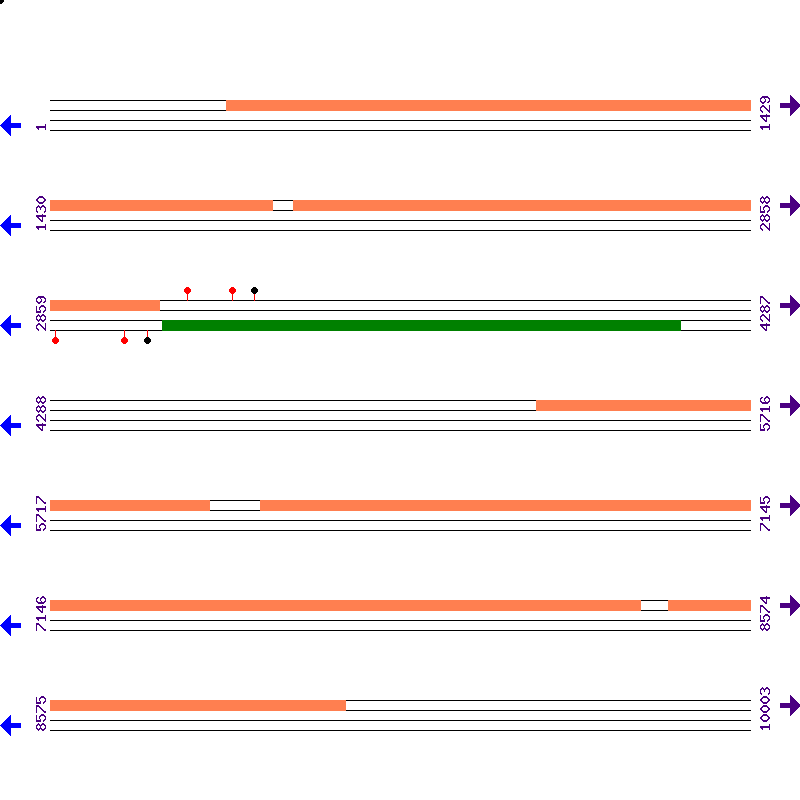 Genome View