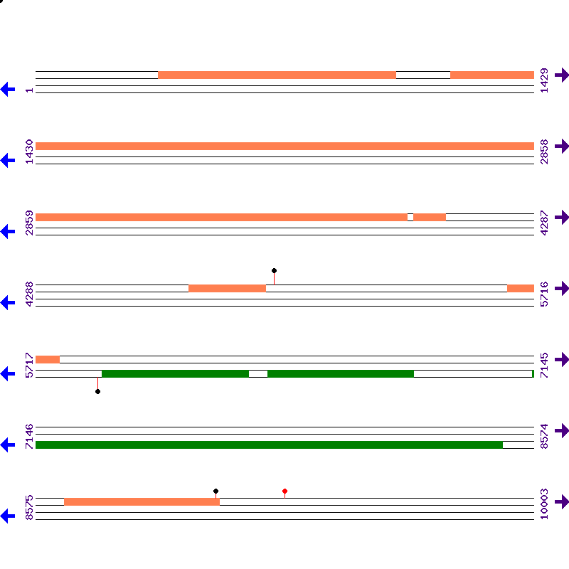 Genome View