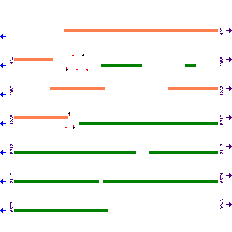 Genome View