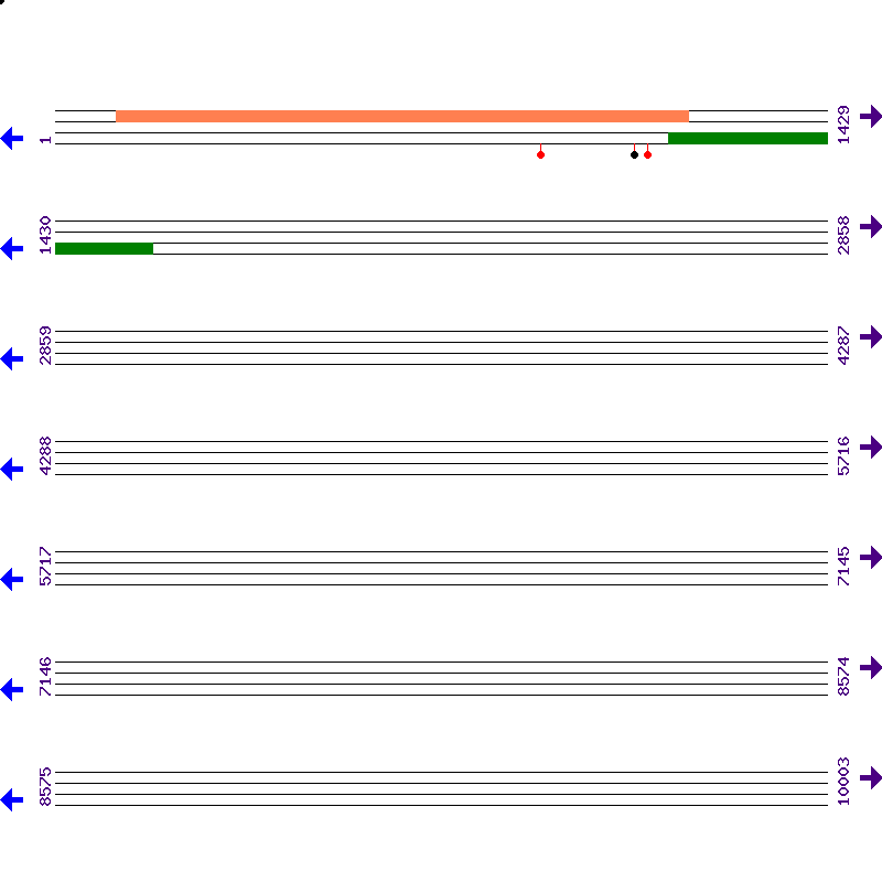 Genome View