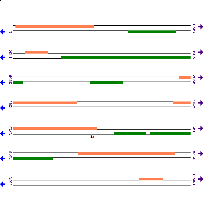 Genome View