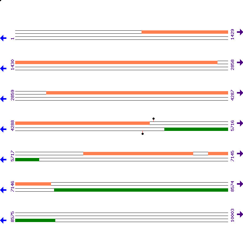 Genome View