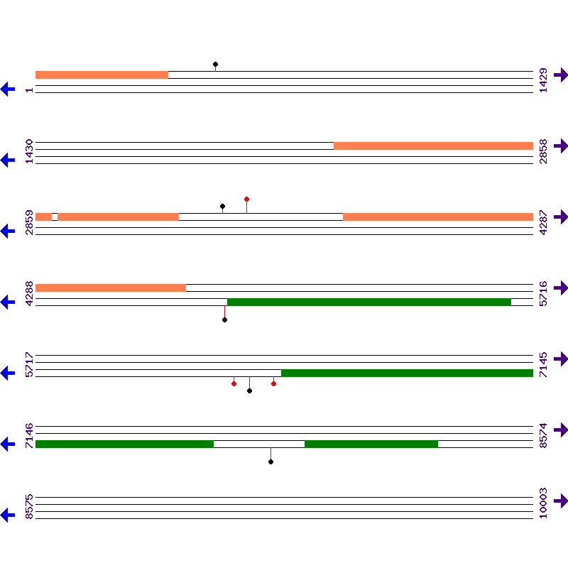 Genome View