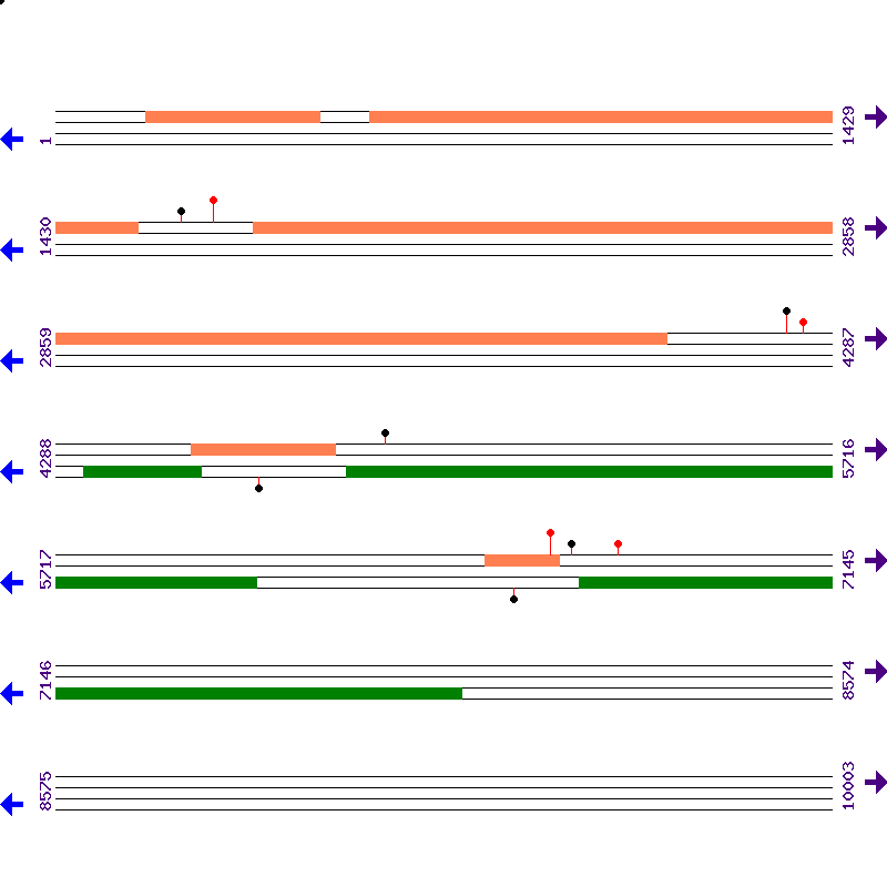 Genome View