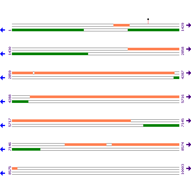 Genome View