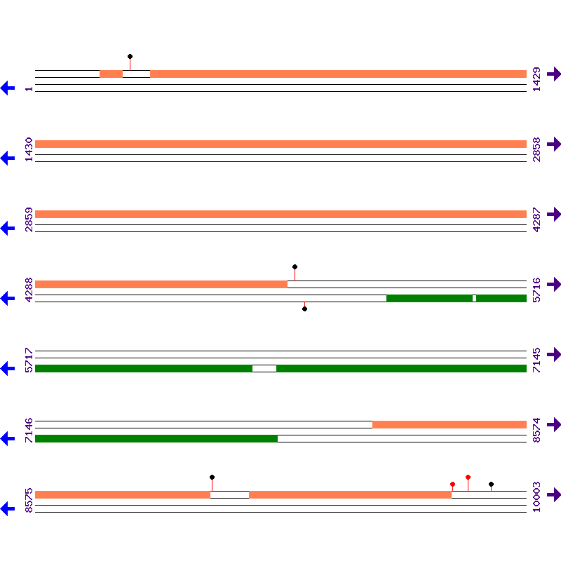 Genome View