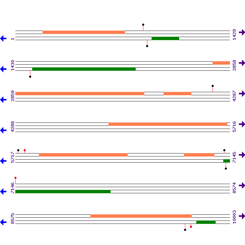 Genome View