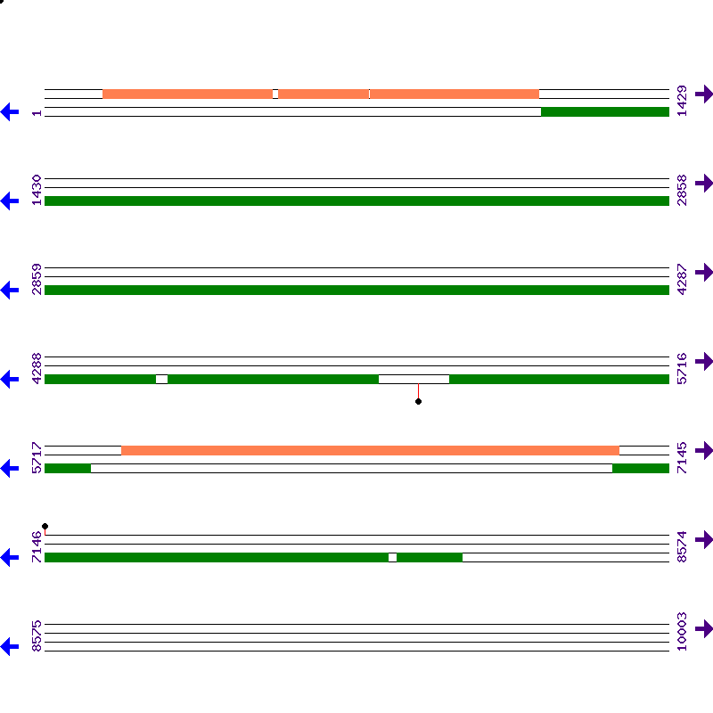 Genome View