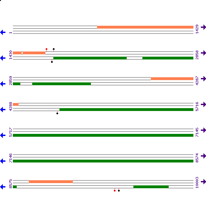 Genome View