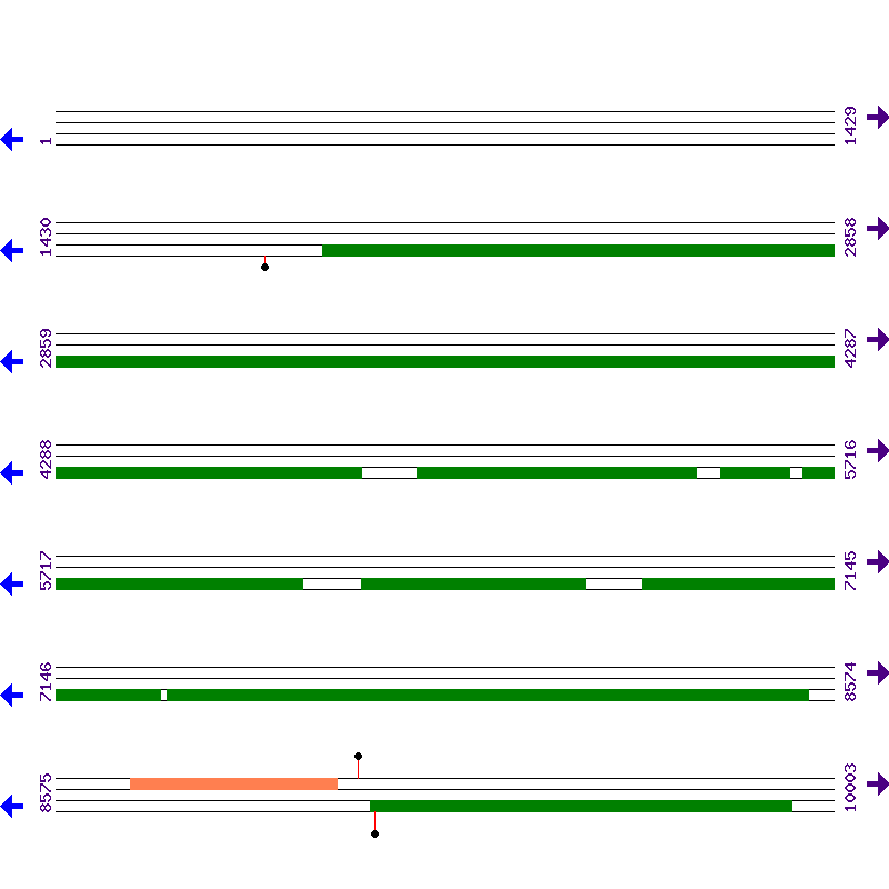 Genome View