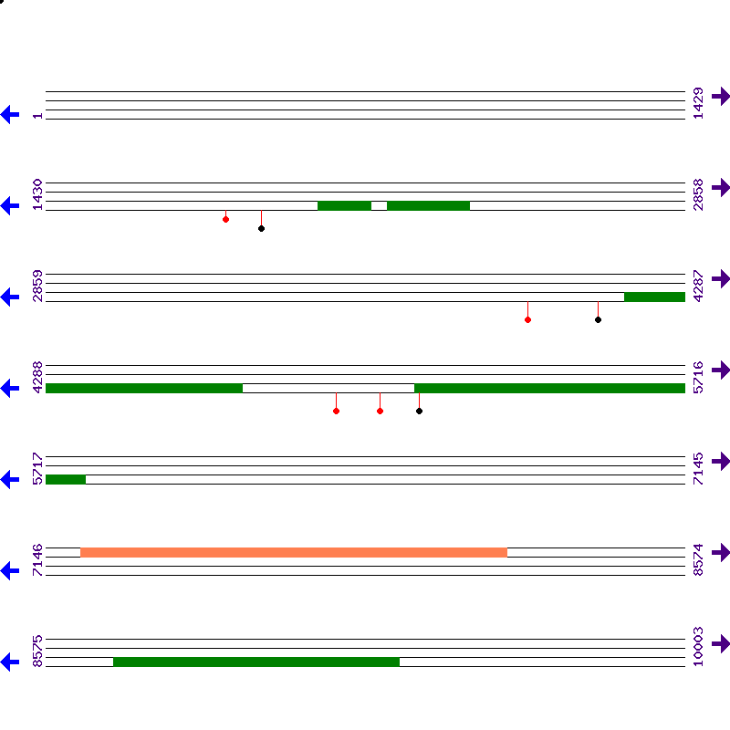 Genome View