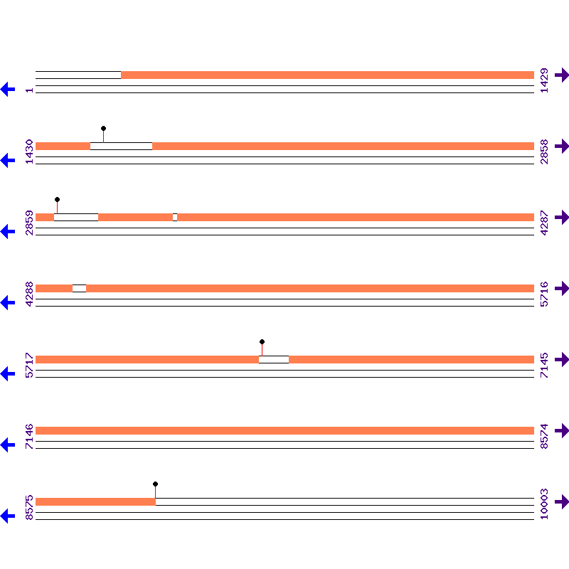 Genome View