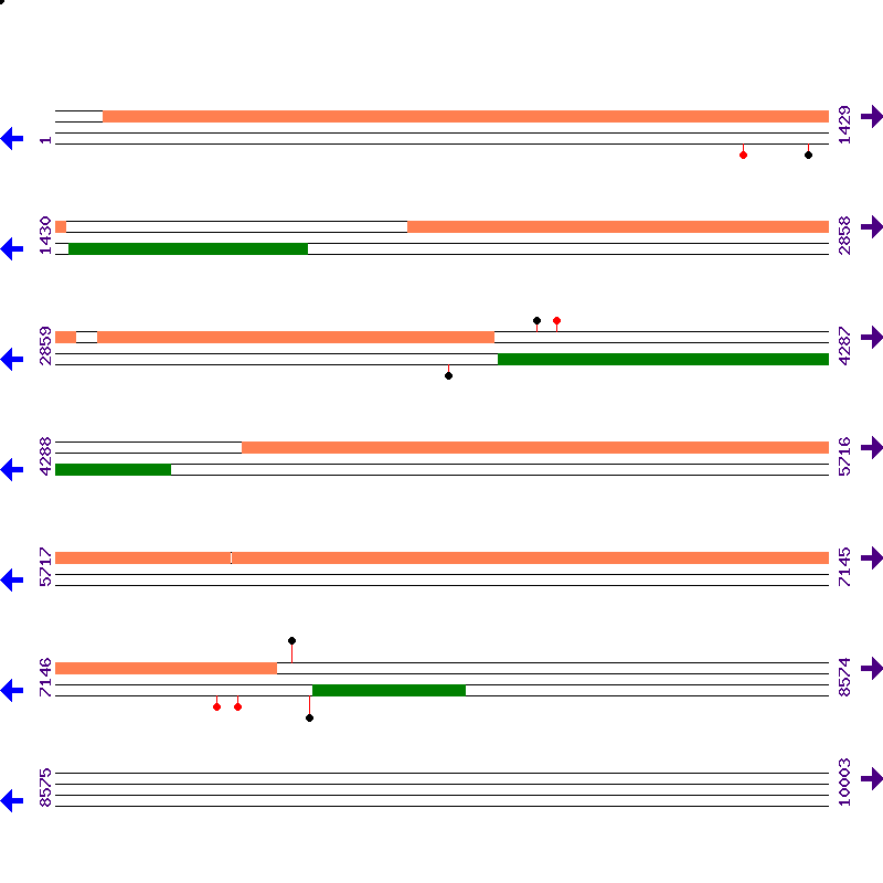 Genome View