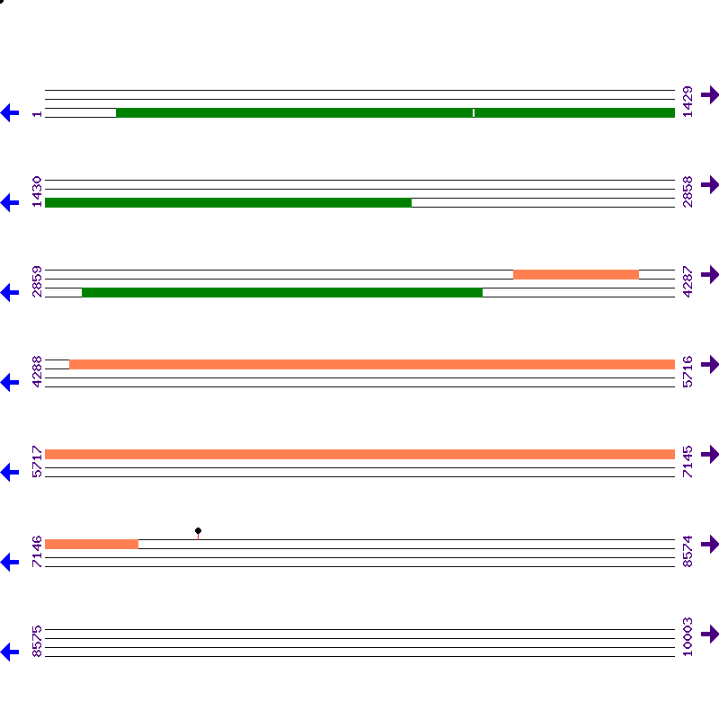 Genome View