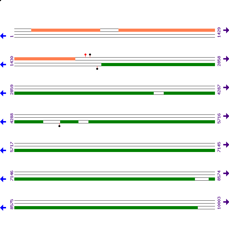 Genome View