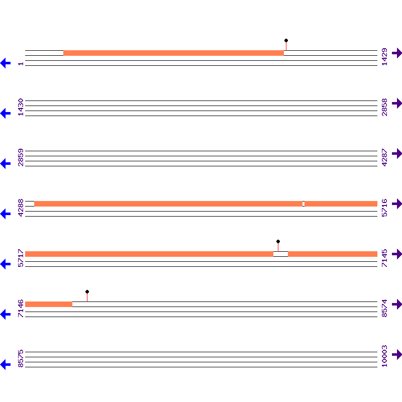 Genome View