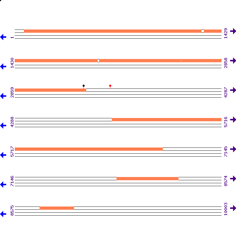 Genome View