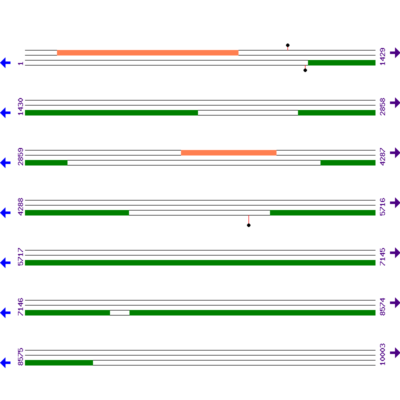 Genome View