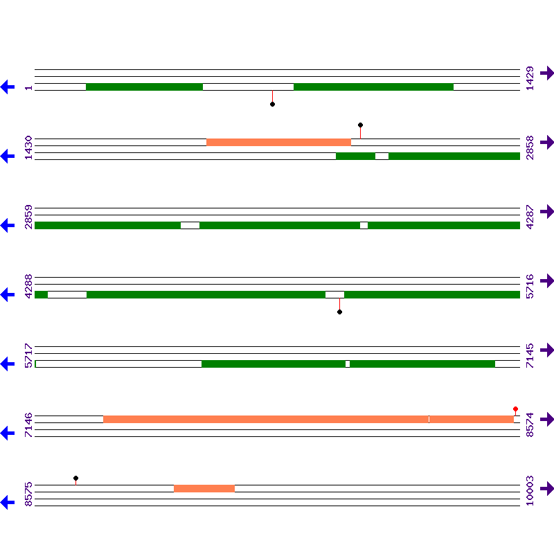 Genome View