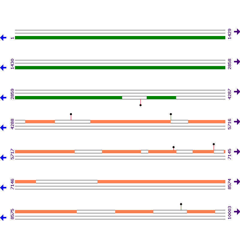 Genome View