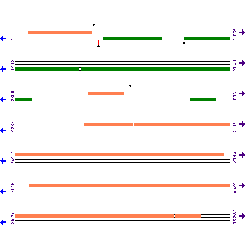 Genome View