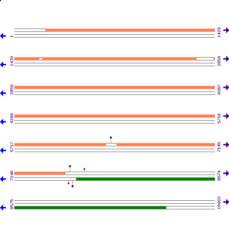 Genome View