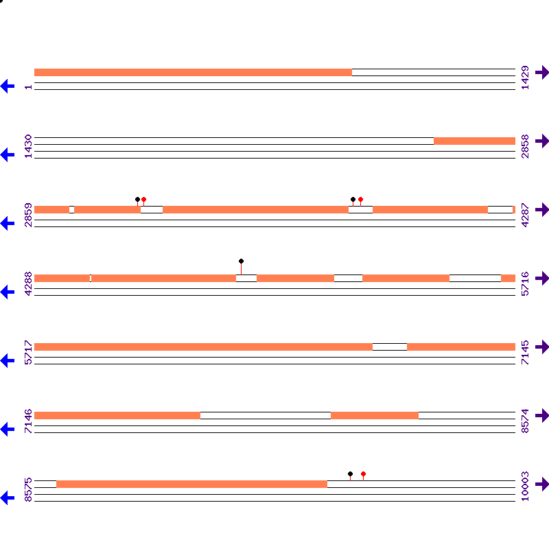 Genome View