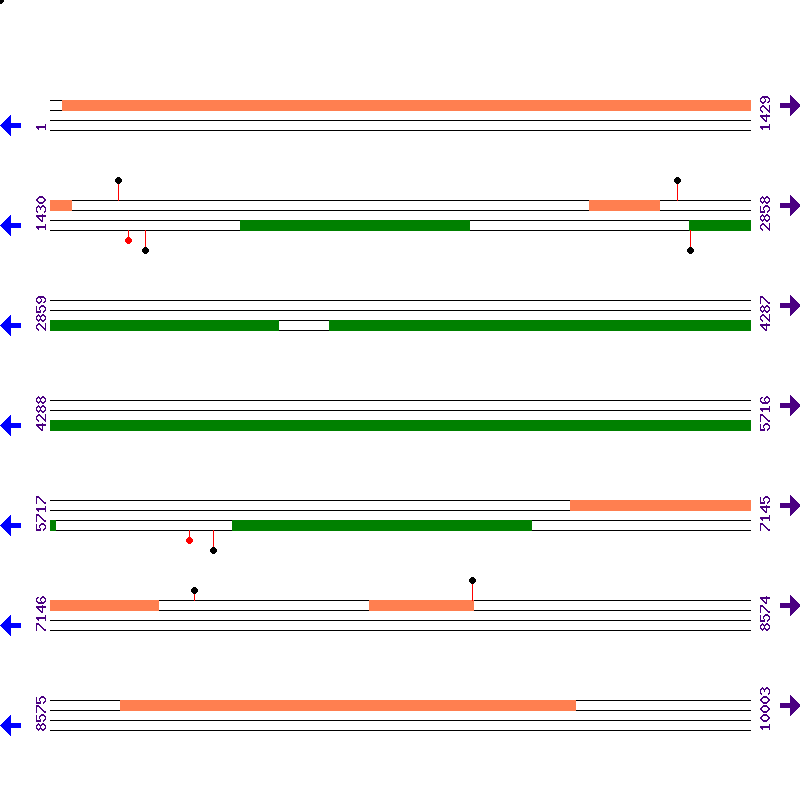 Genome View