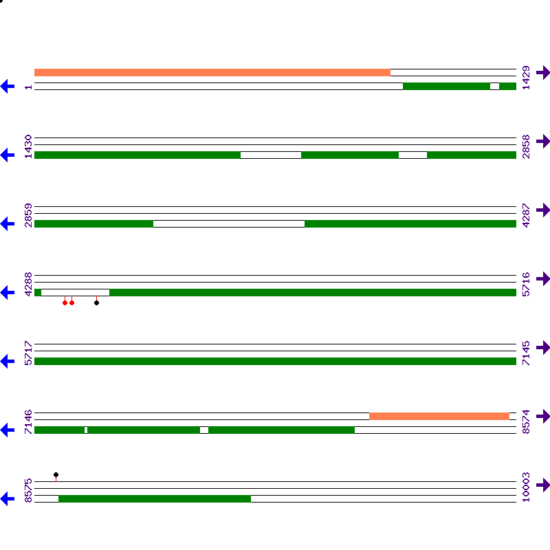 Genome View
