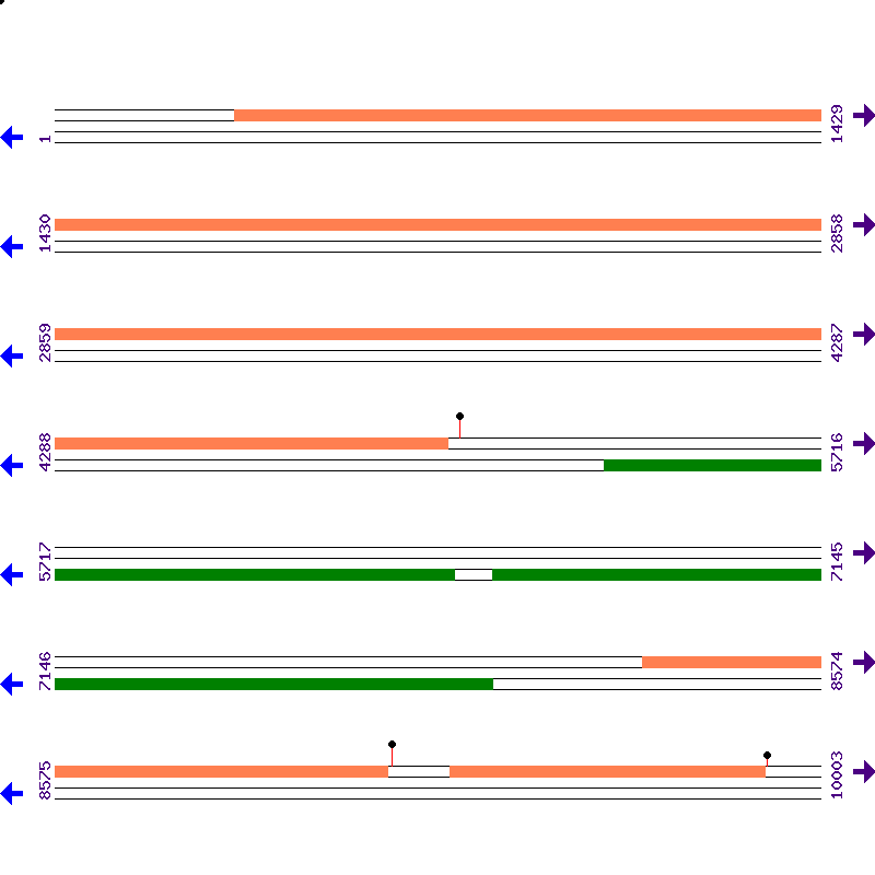 Genome View