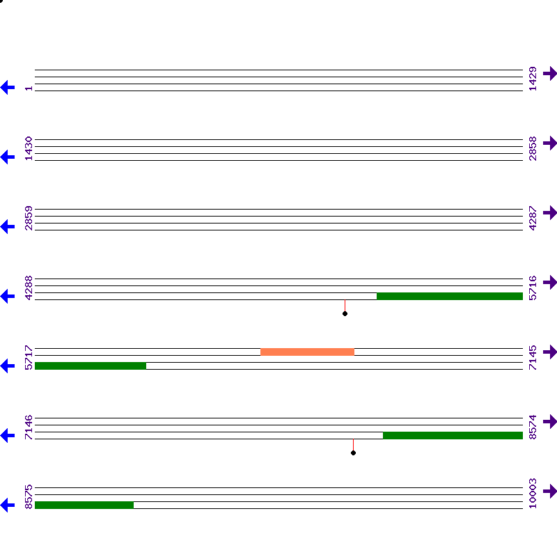 Genome View