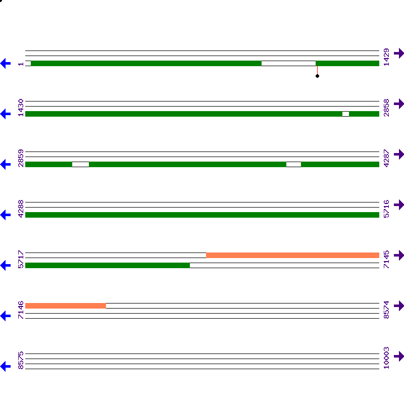 Genome View